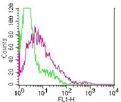 Monoclonal Antibody to Rat CD43 (Clone:WEN3) FITC Conjugated